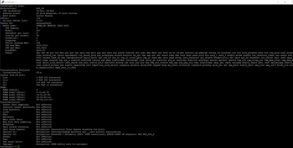 Terminal window showing a black screen with white text listing VM hardware details (CPU model, cores, memory, virtualization features) and other system specs.