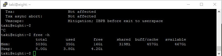 Terminal window showing a Linux system status: kernel mitigations listed; memory (Mem: total 503Gi, used 35Gi, free 16Gi) and swap (8.0Gi total, 3.8Gi used, 4.2Gi free) are displayed.
