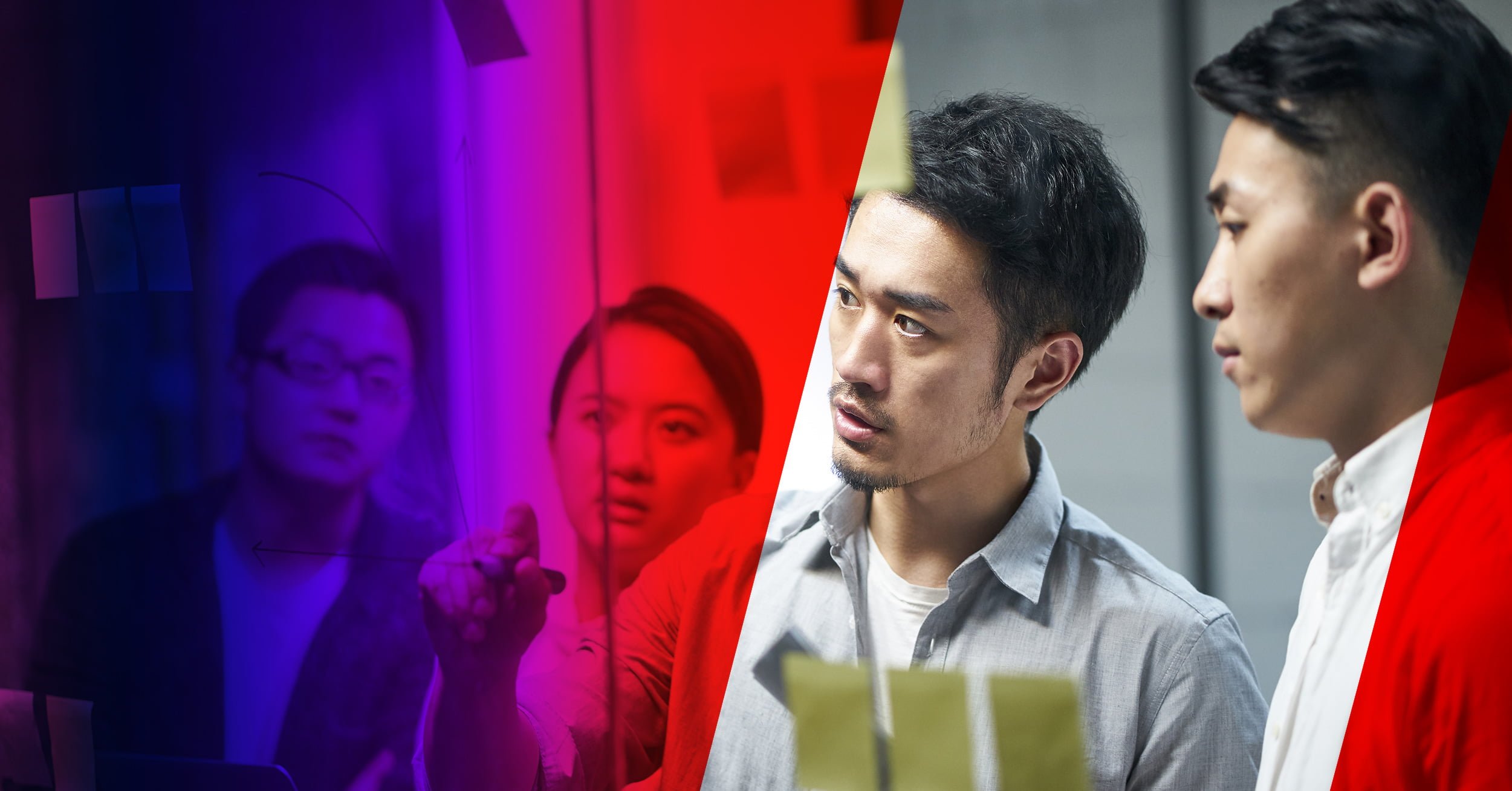 網站設計 來自專家的服務